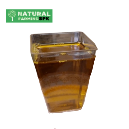 Mustard Oil সরিষার তৈল