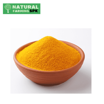 Turmeric powder