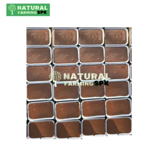 Jaggery আখের পাঠালি গুড়