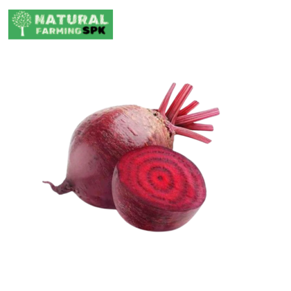 beetroot ( বিটরুট )