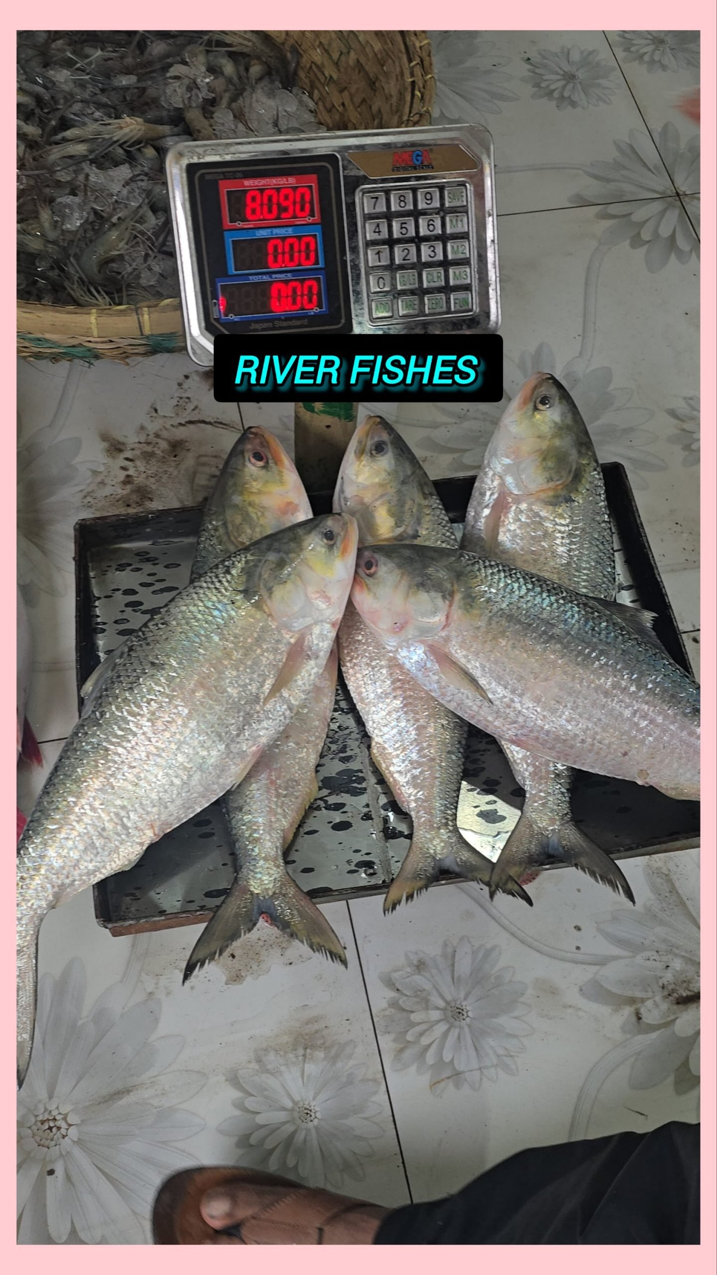 Natural Farming SPK Fish - Image 3
