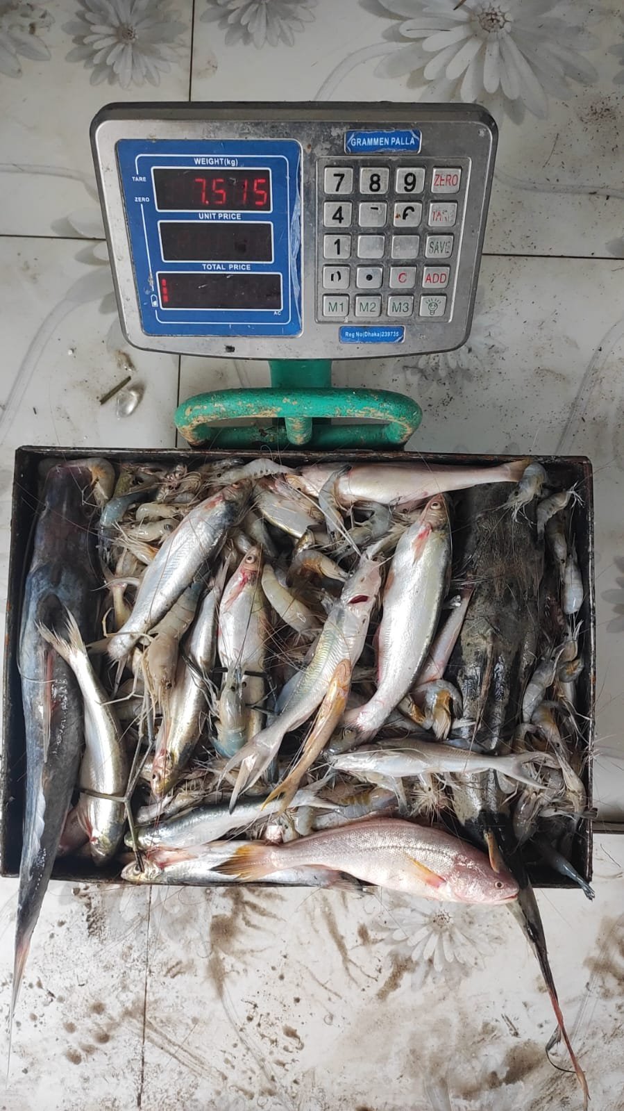 Natural Farming SPK Fish - Image 4