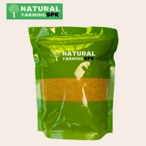 কাউন ( Foxtaile millet )