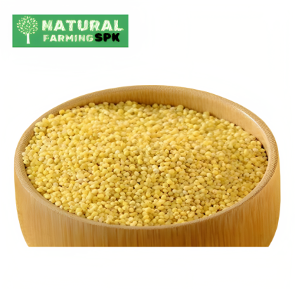 কাউন ( Foxtaile millet )
