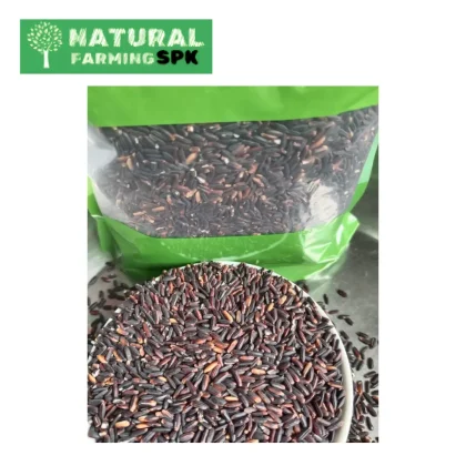 সুগন্ধি ব্ল্যাক রাইস  (black Rice)