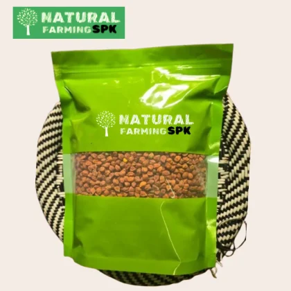 দেশি প্রাকৃতিক ছোলা বুট (Chola Boot)