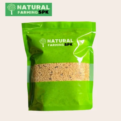 প্রিমিয়াম মাষকলাই ডাল