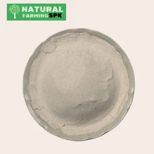 লাল গমের আটা