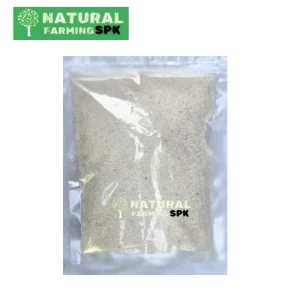 ইসুবগুলের ভুষি