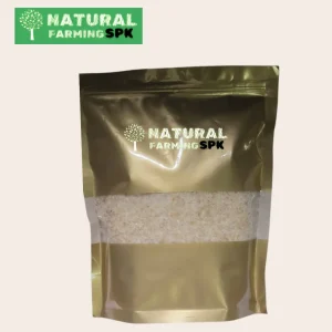 কাতিলা গাম