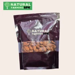 কাঠবাদাম