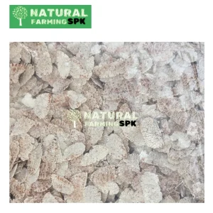 খাঁটি লাল চিড়া