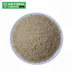 শুভলতা দেশি চাল