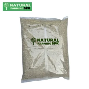 সামুদ্রিক লবণ( sea salt)