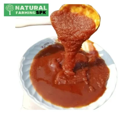 খেজুরের দানাদার গুড়