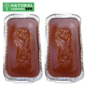 খেজুরের পাটালি গুড় [যশোর]