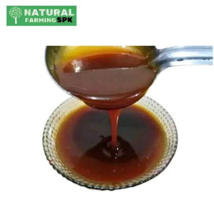 খেজুরের জোলা গুড়