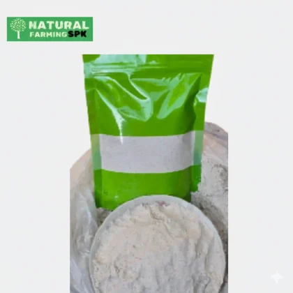 যবের ছাতু