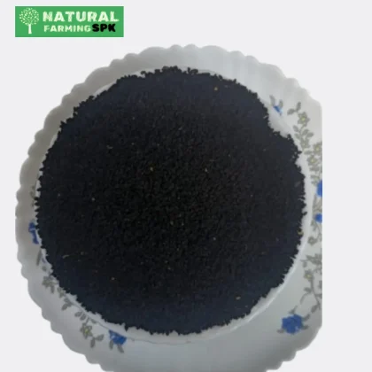 দেশি কালোজিরা