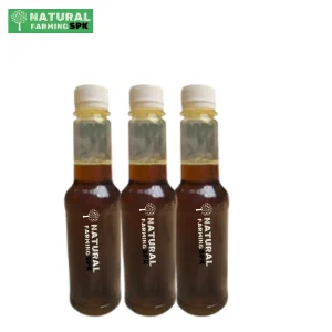 কালোজিরা তেল