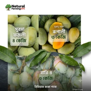 আম কম্বো প্যাক – ১০ কেজি