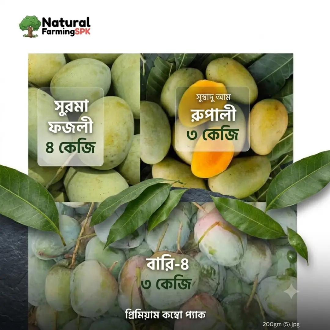 আম কম্বো প্যাক – ১০ কেজি