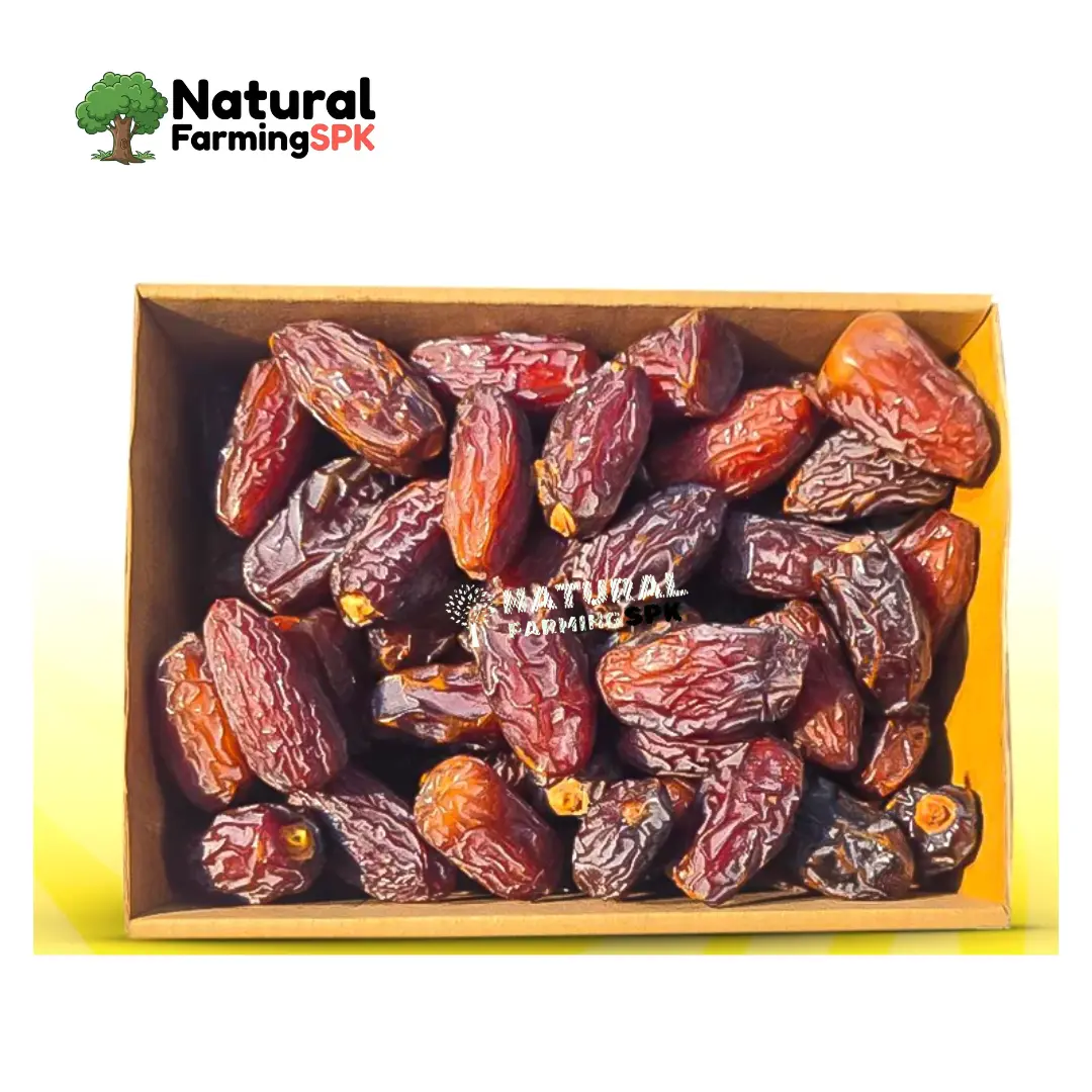 প্রিমিয়াম মিশরি মেডজুল