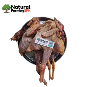 Free-Range Desi Rata Chicken (live weight 1kg)