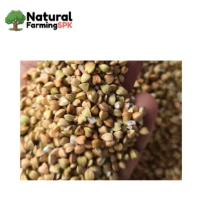 বাকহুইট 1kg